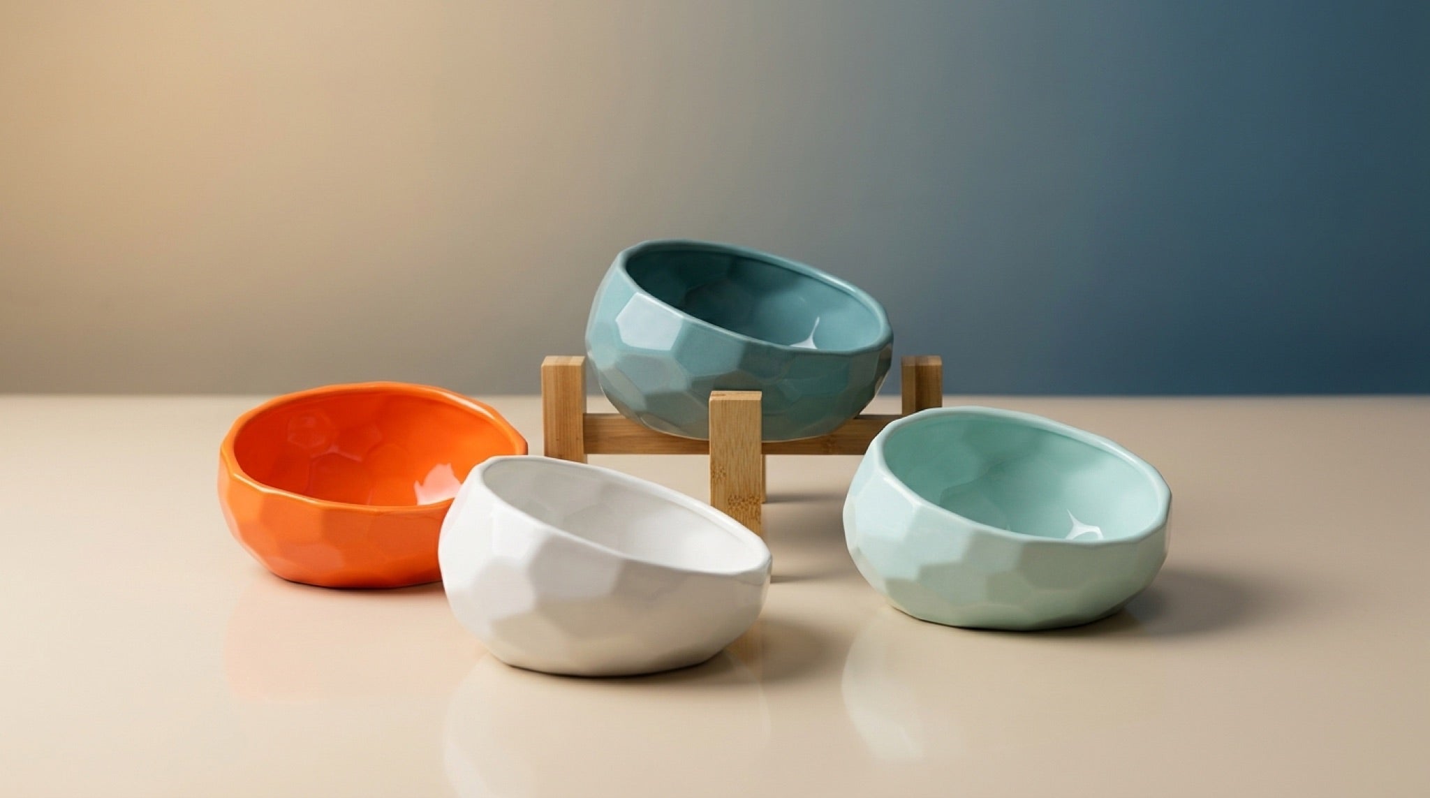 Elevated Ceramic Pet Bowl | 15° Tilted Anti-Vomit Cat & Dog Feeder