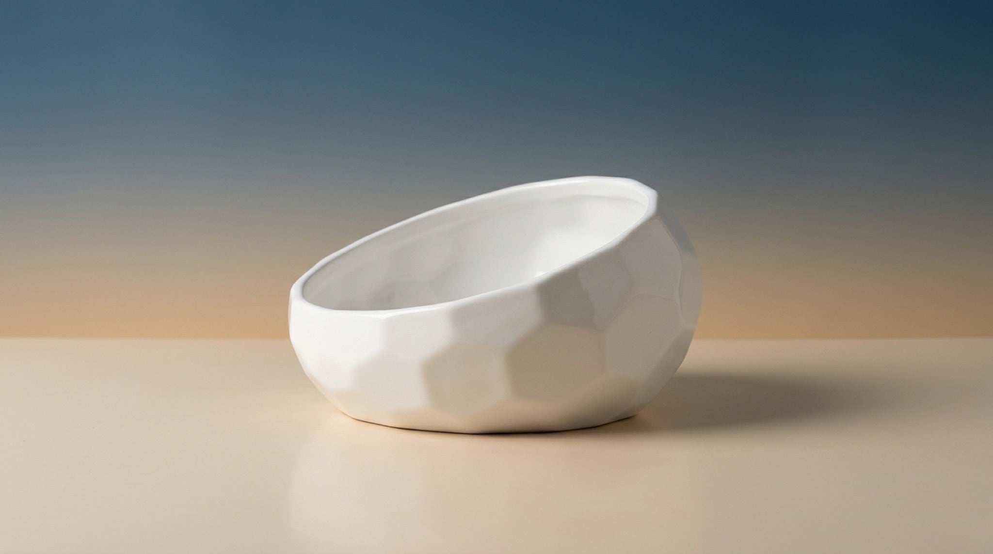 Elevated Ceramic Pet Bowl | 15° Tilted Anti-Vomit Cat & Dog Feeder
