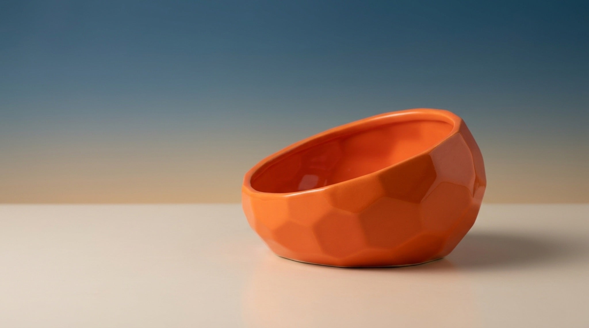 Elevated Ceramic Pet Bowl | 15° Tilted Anti-Vomit Cat & Dog Feeder