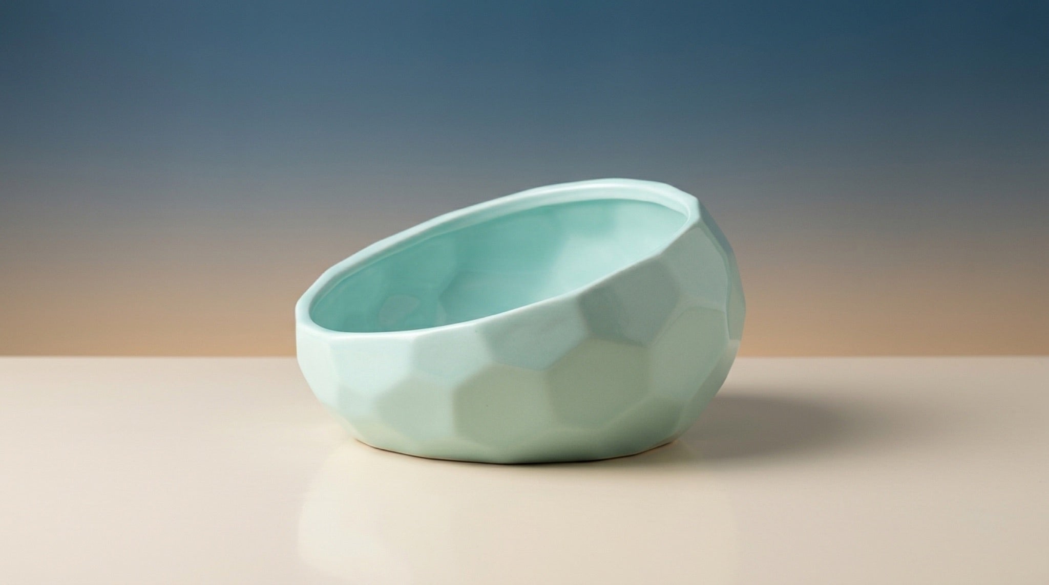 Elevated Ceramic Pet Bowl | 15° Tilted Anti-Vomit Cat & Dog Feeder