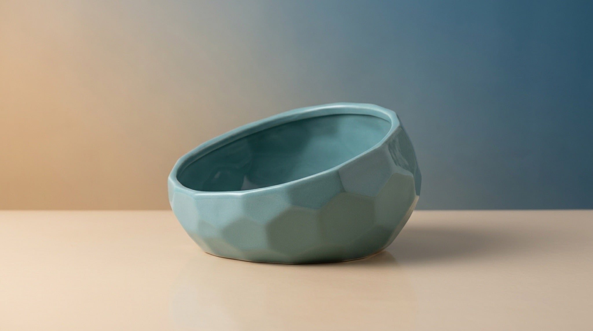 Elevated Ceramic Pet Bowl | 15° Tilted Anti-Vomit Cat & Dog Feeder
