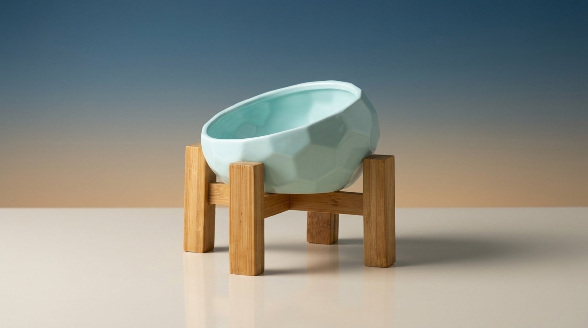 Elevated Ceramic Pet Bowl | 15° Tilted Anti-Vomit Cat & Dog Feeder