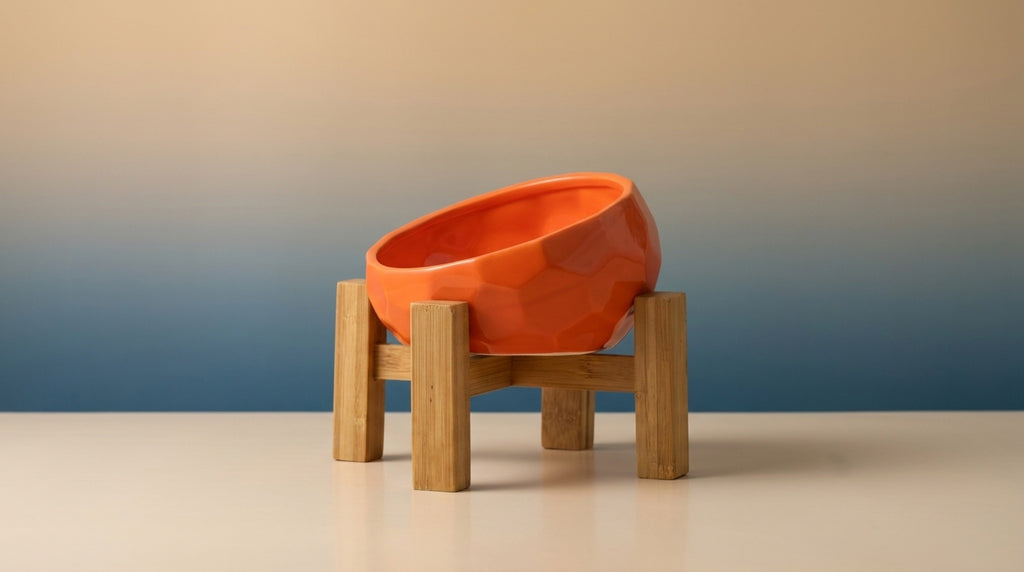 Elevated Ceramic Pet Bowl | 15° Tilted Anti-Vomit Cat & Dog Feeder