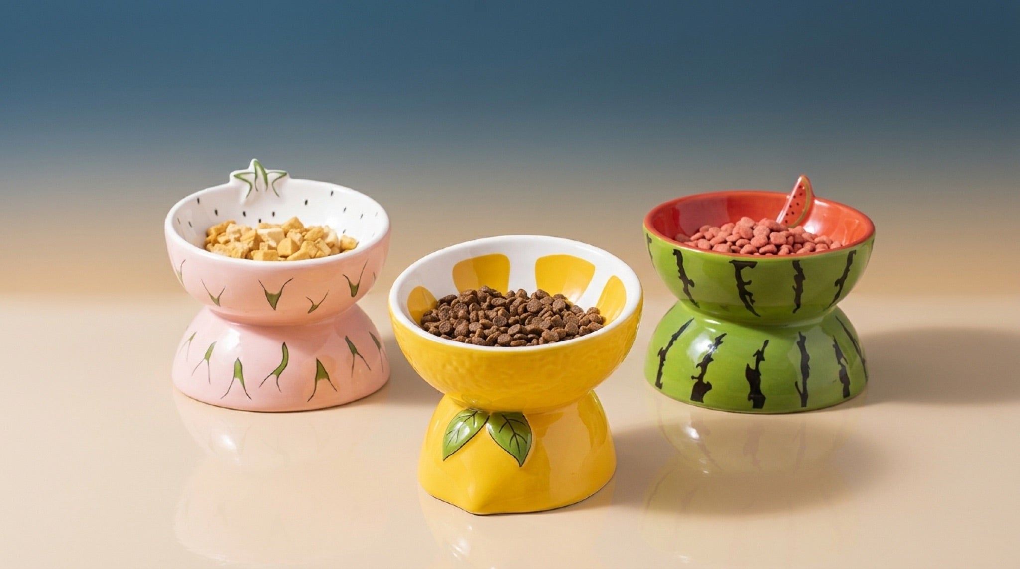 Elevated Ceramic Pet Feeding Basin | Ergonomic Tilted Cat & Dog Bowl