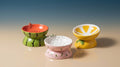 Elevated Ceramic Pet Feeding Basin | Ergonomic Tilted Cat & Dog Bowl