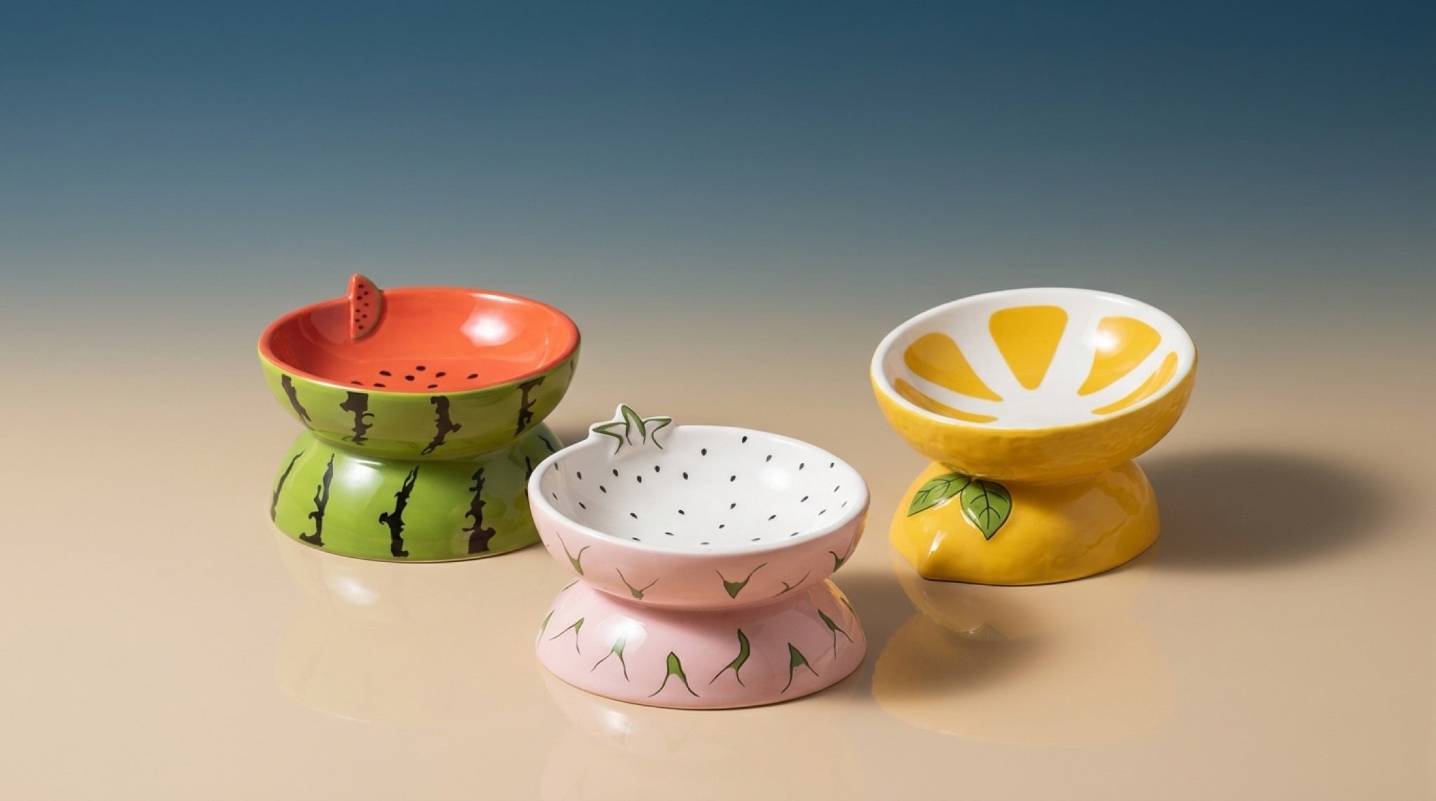 Elevated Ceramic Pet Feeding Basin | Ergonomic Tilted Cat & Dog Bowl