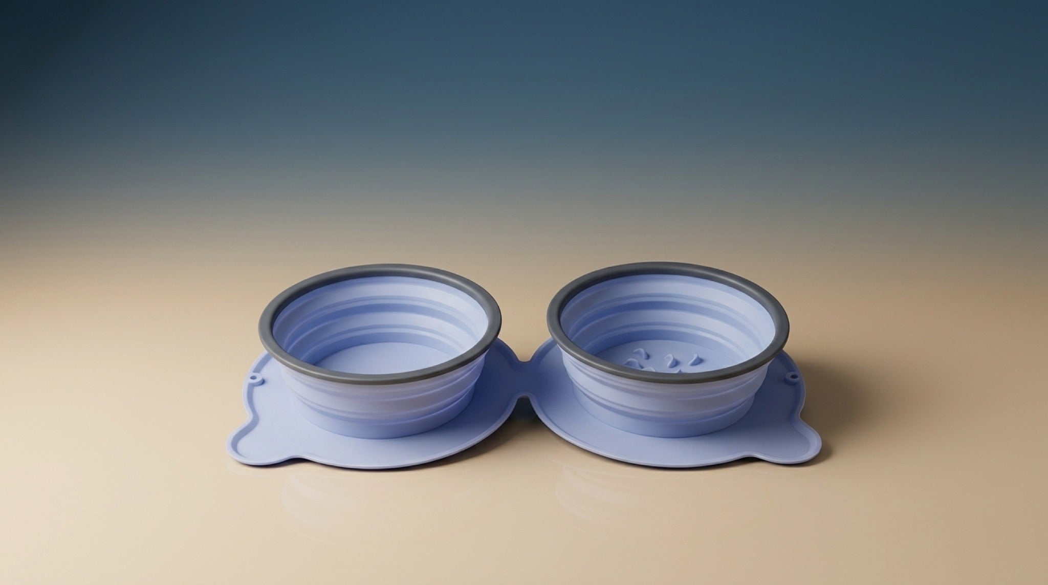 Portable Silicone Double Dog Bowl | Foldable Non-Slip Travel Pet Feeder