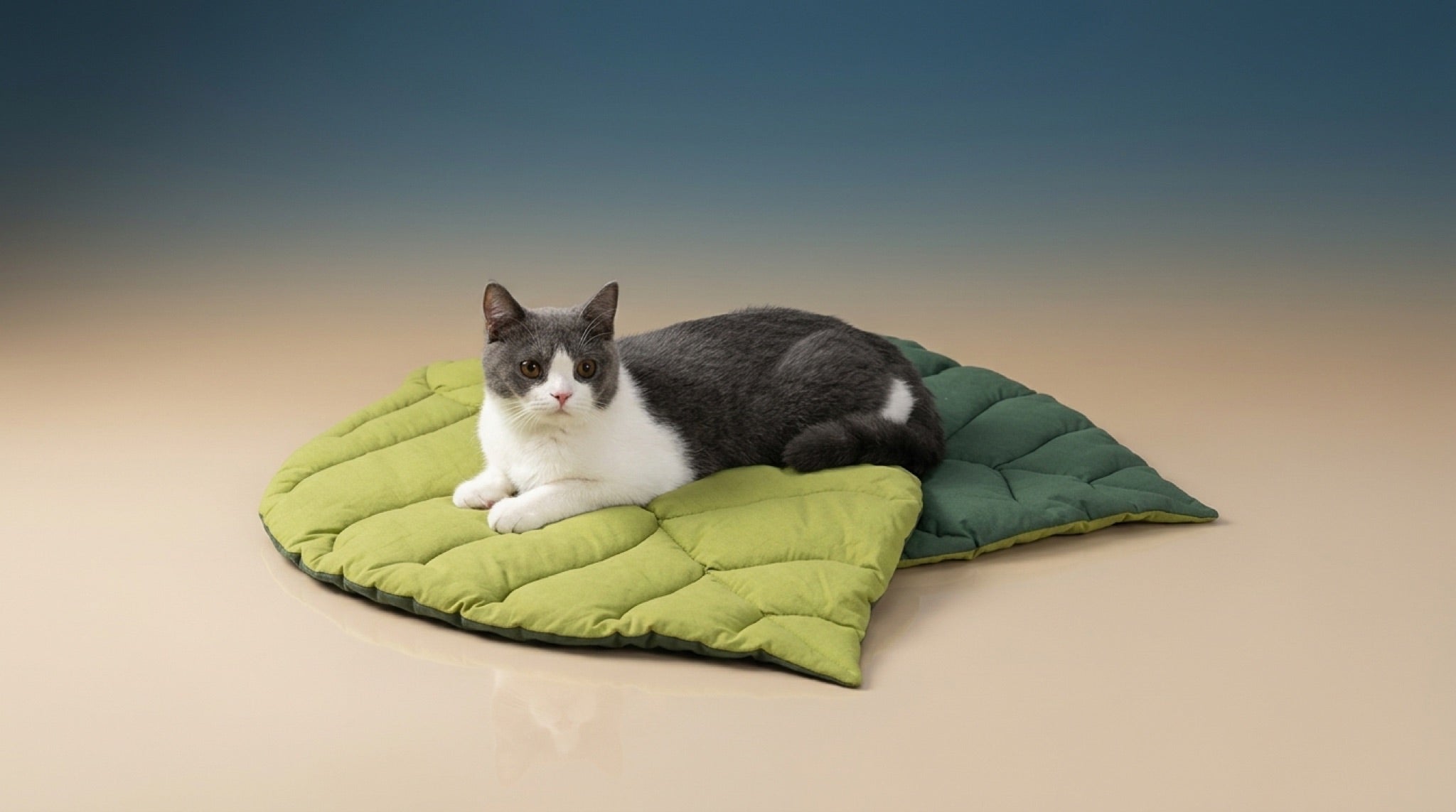 Premium Leaf-Shaped Pet Mat | Reversible Cotton Lounge Bed & Couch Throw