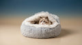 Semi-Enclosed Shell Pet Nest | Four Seasons Calming Cat & Dog Cave